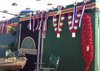 A booth decorated with award ribbons, rosettes, and a Trowbridge's Ltd. sign, with a director's chair and horse statues in the foreground.