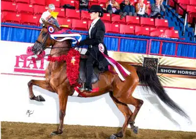 A rider in formal attire sits on a decorated horse performing in an indoor arena with red seats and spectators in the background.