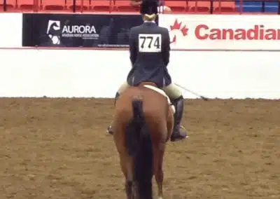 A rider wearing number 774 sits on a horse in an indoor arena, facing away from the camera, with spectators seated in red chairs in the background.