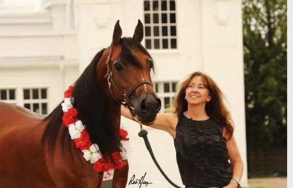 A woman stands beside a brown horse adorned with a red and white floral garland and a blue ribbon, both outdoors in front of a white building.